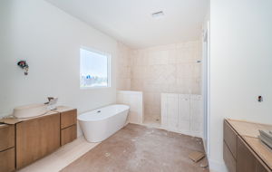 Primary Bathroom1a