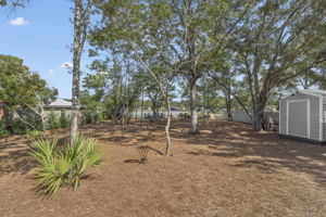  Photo 37