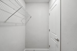  Photo 50