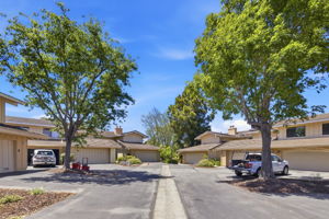 044_F8_8 Calypso Ln