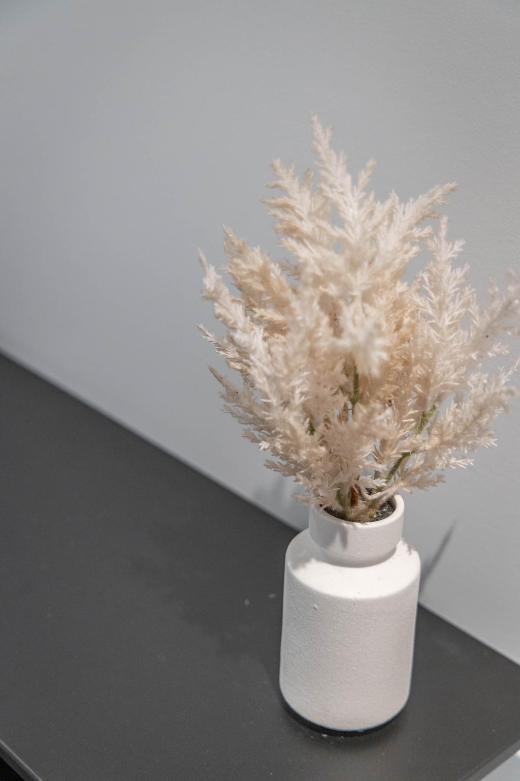 Toronto property showcase — delivered property photograph 15