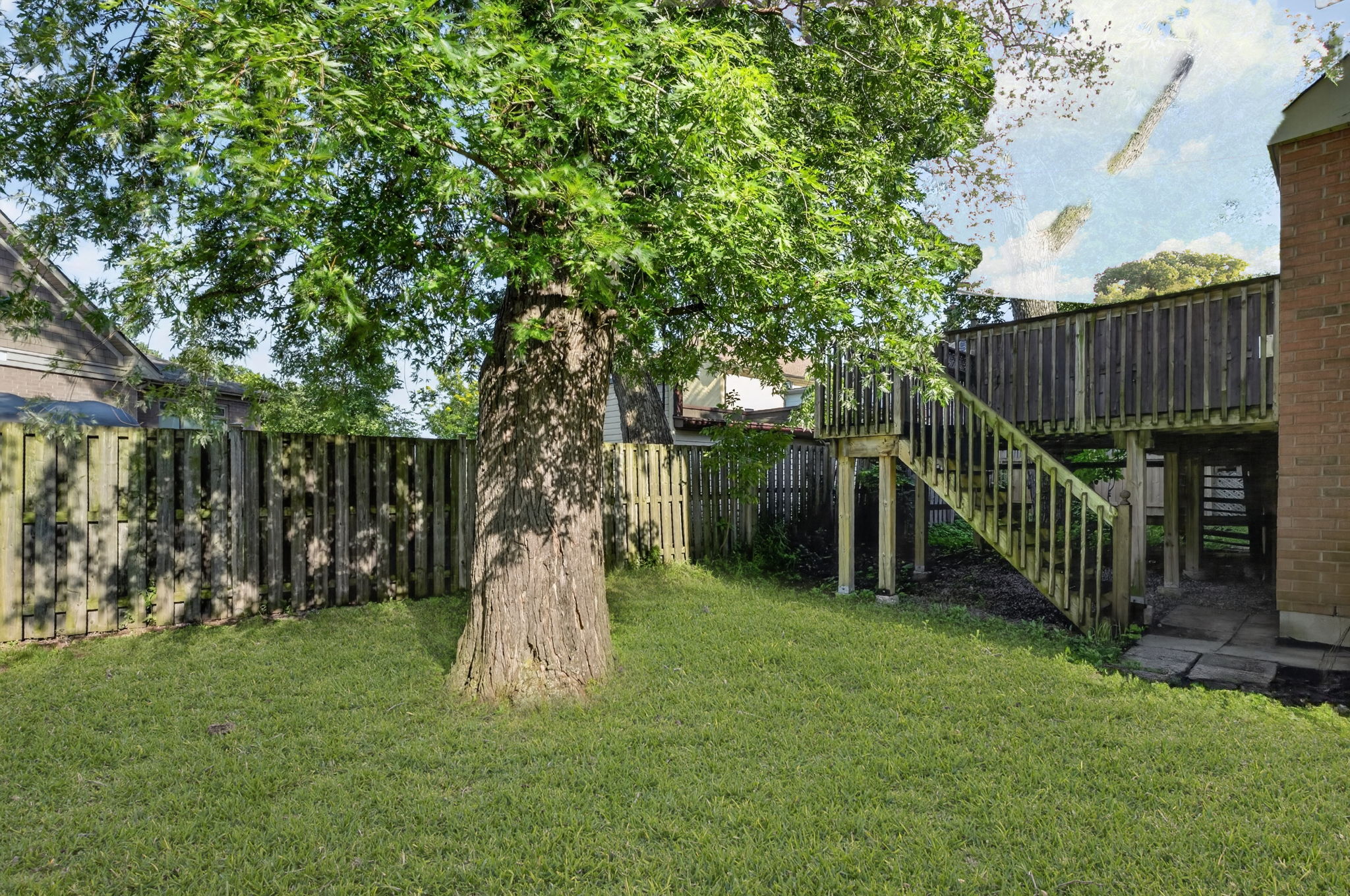  Photo 46