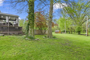 Back of Home