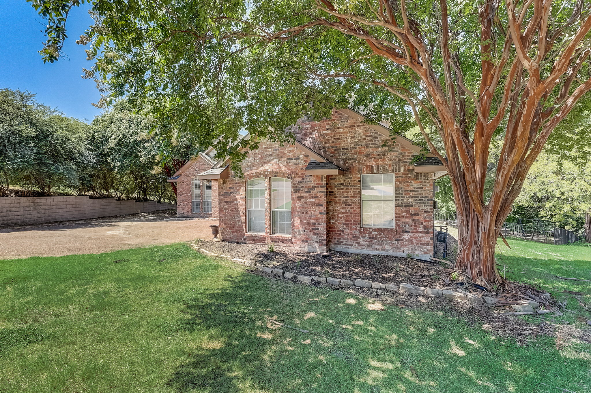 Cypress Ct-003