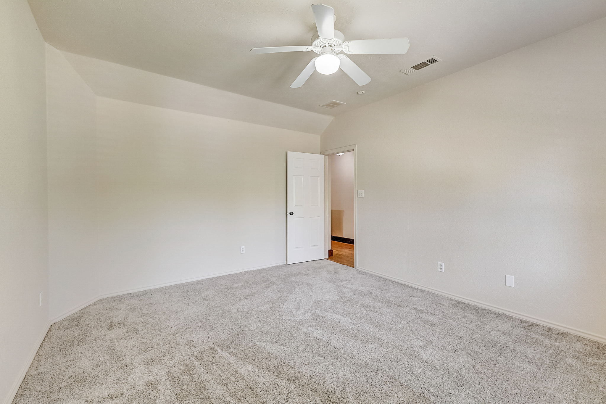 Cypress Ct-042