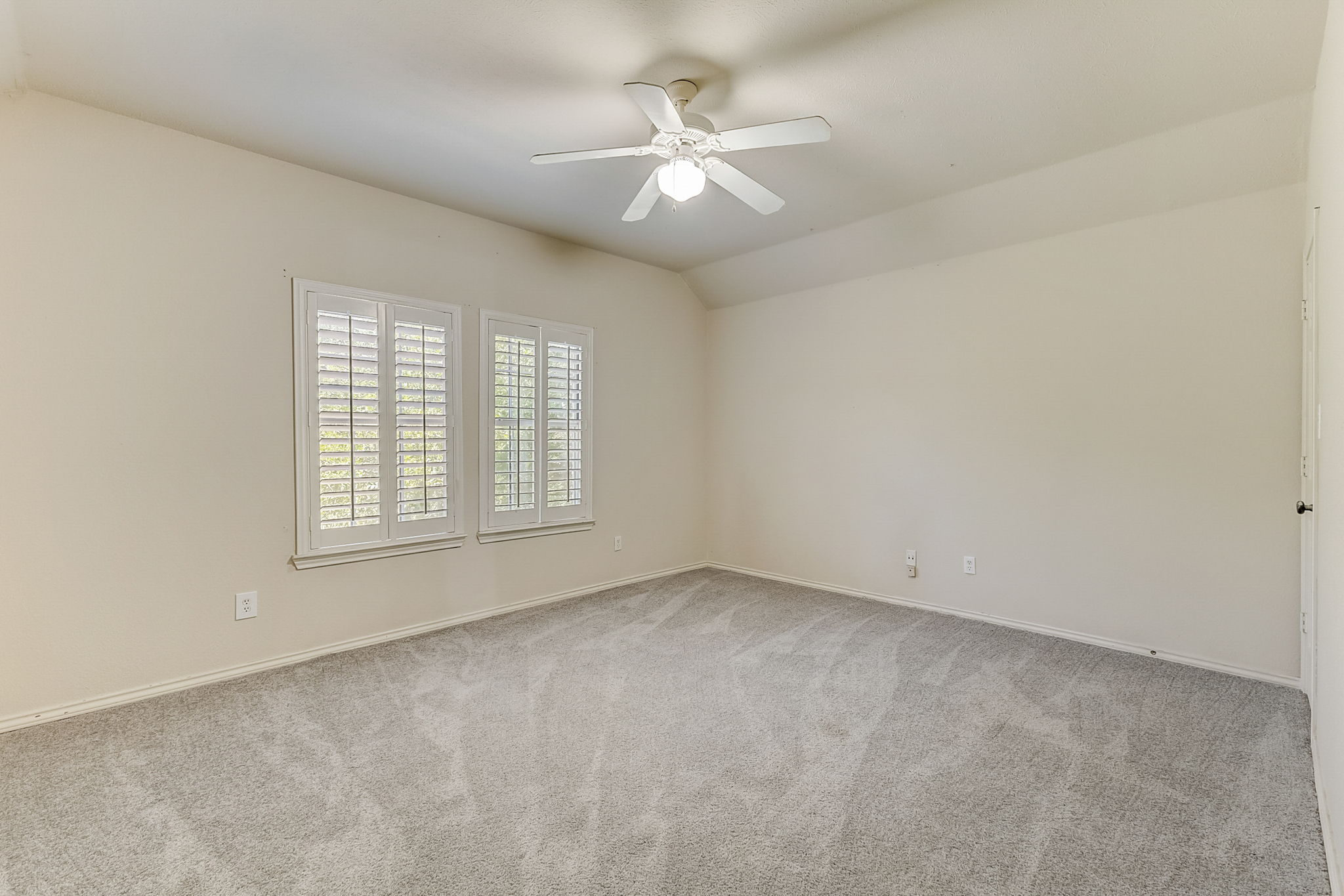 Cypress Ct-036