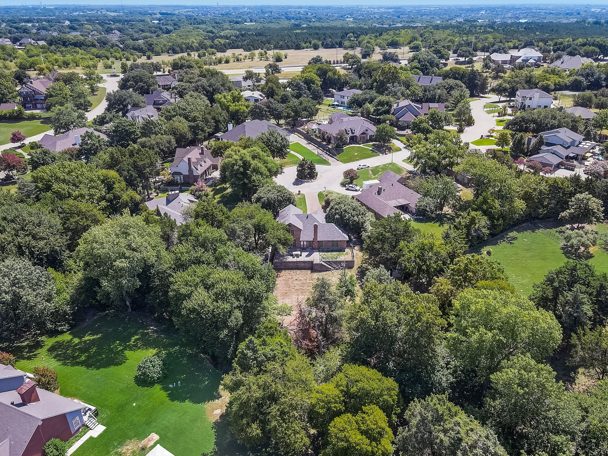 Cypress Ct-054