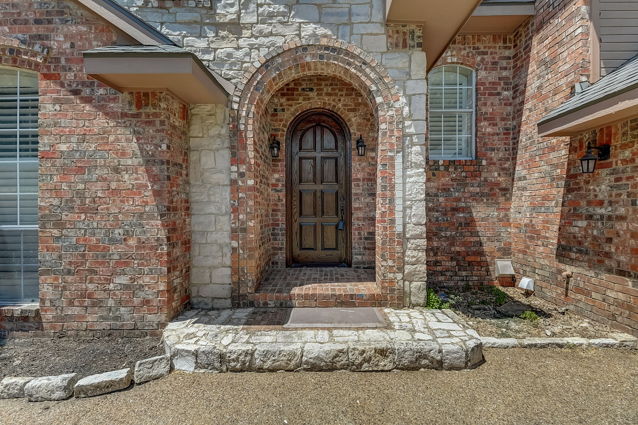 Cypress Ct-004