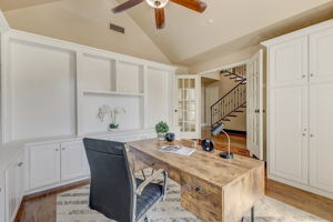 Cypress Ct-024