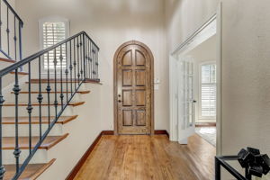 Cypress Ct-005