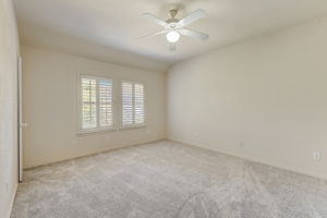 Cypress Ct-040