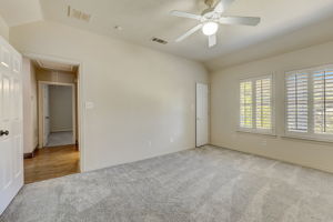 Cypress Ct-041