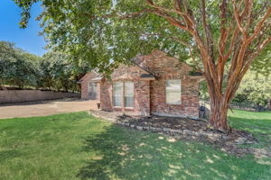 Cypress Ct-003