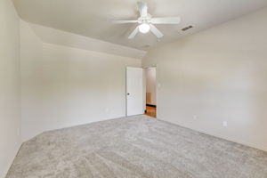 Cypress Ct-042