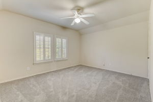 Cypress Ct-036