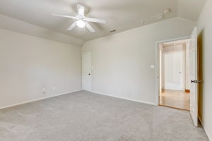 Cypress Ct-038