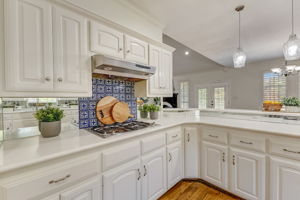 Cypress Ct-020