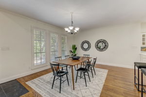 Cypress Ct-011
