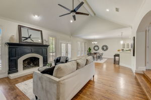 Cypress Ct-009