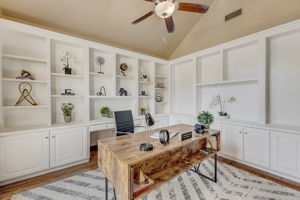Cypress Ct-023