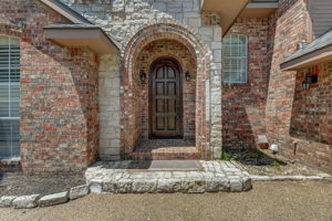 Cypress Ct-004