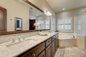 Cypress Ct-033
