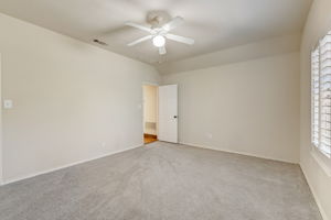 Cypress Ct-037