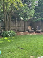  Photo 49