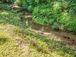 Photo 49