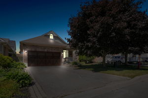  Photo 0