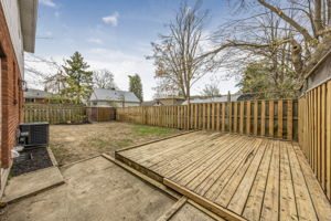  Photo 49