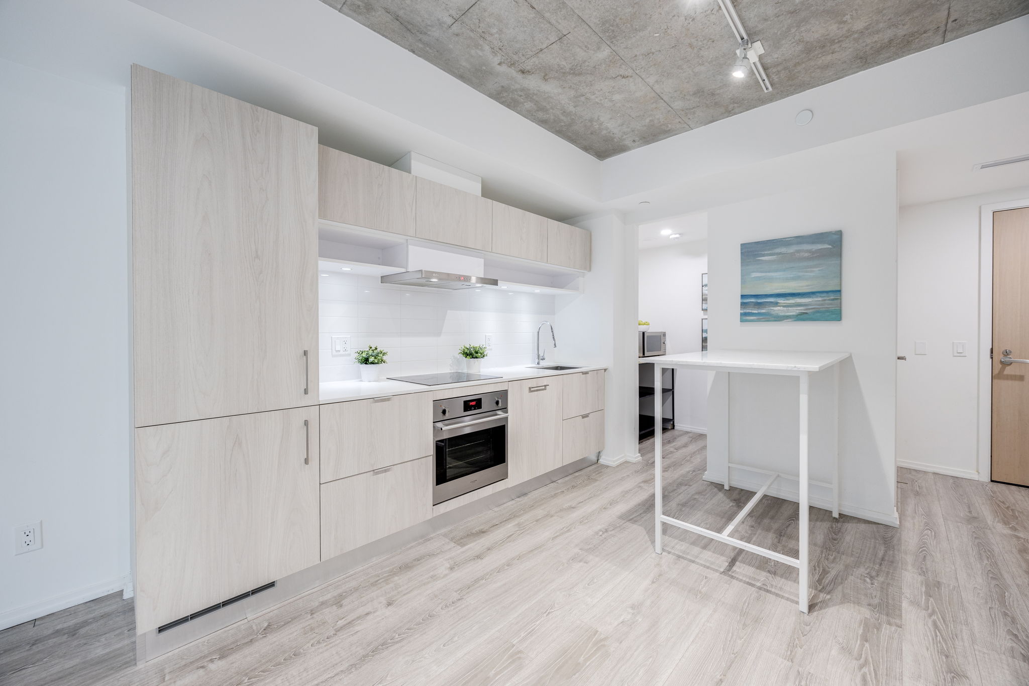 Toronto property showcase — delivered property photograph 8