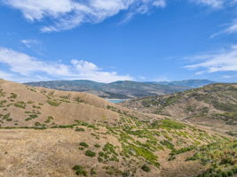  Photo 0