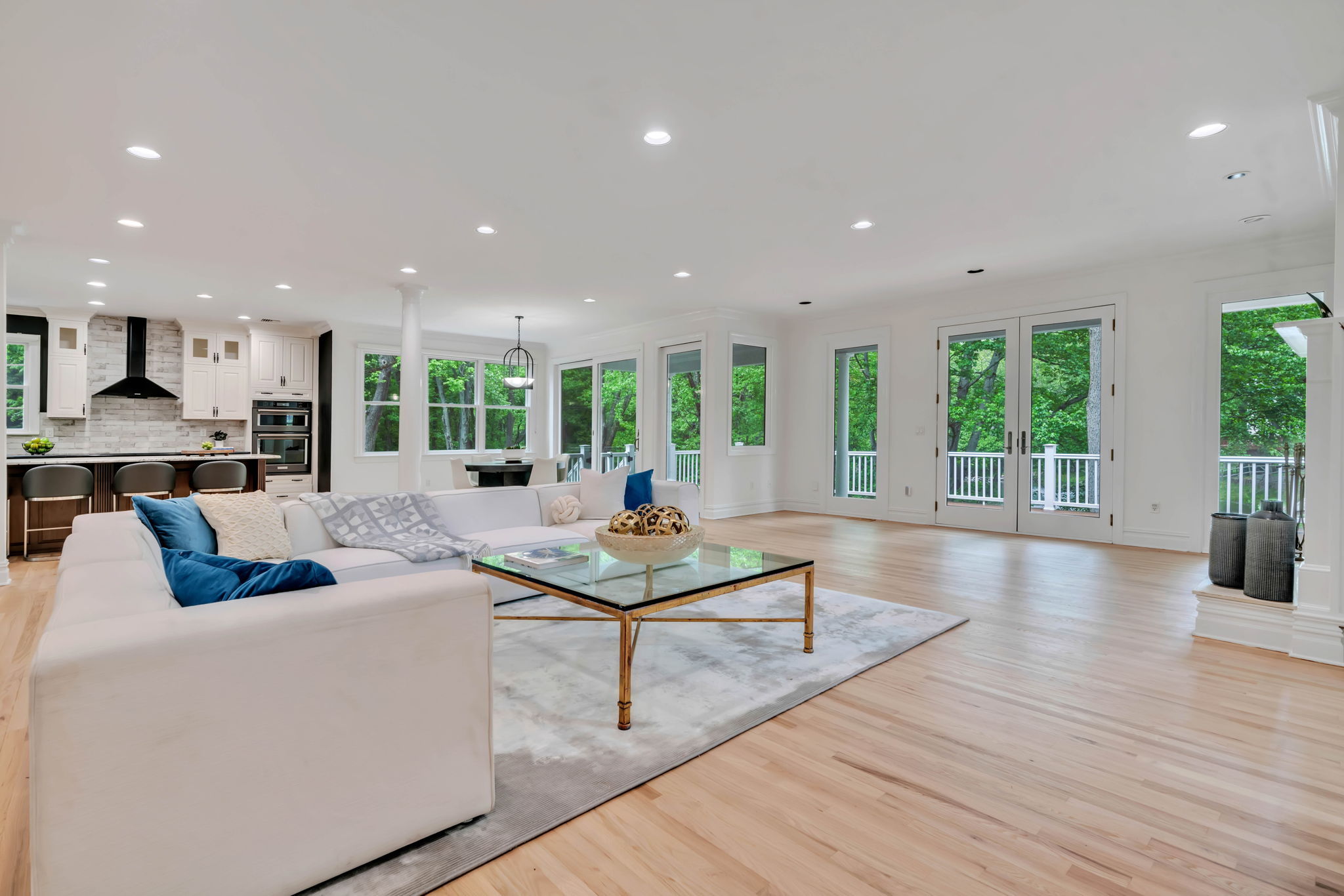 2AA-Wall of Glass Doors & Windows