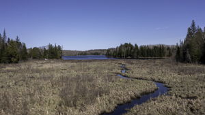  Photo 53