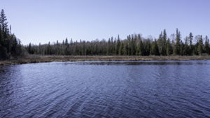  Photo 56