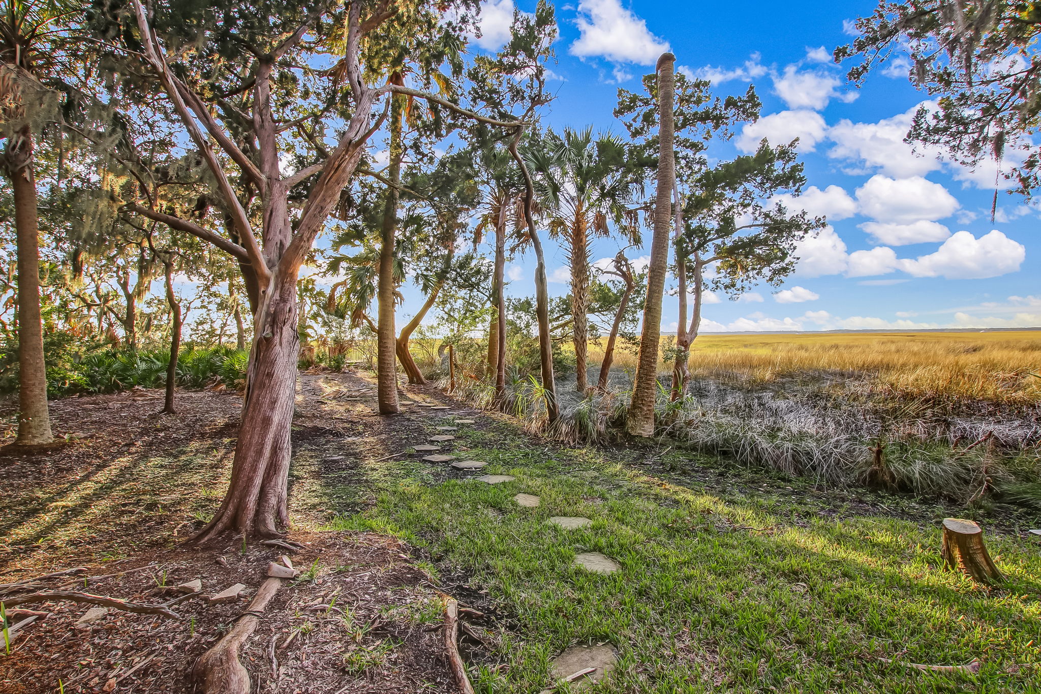 Marsh View