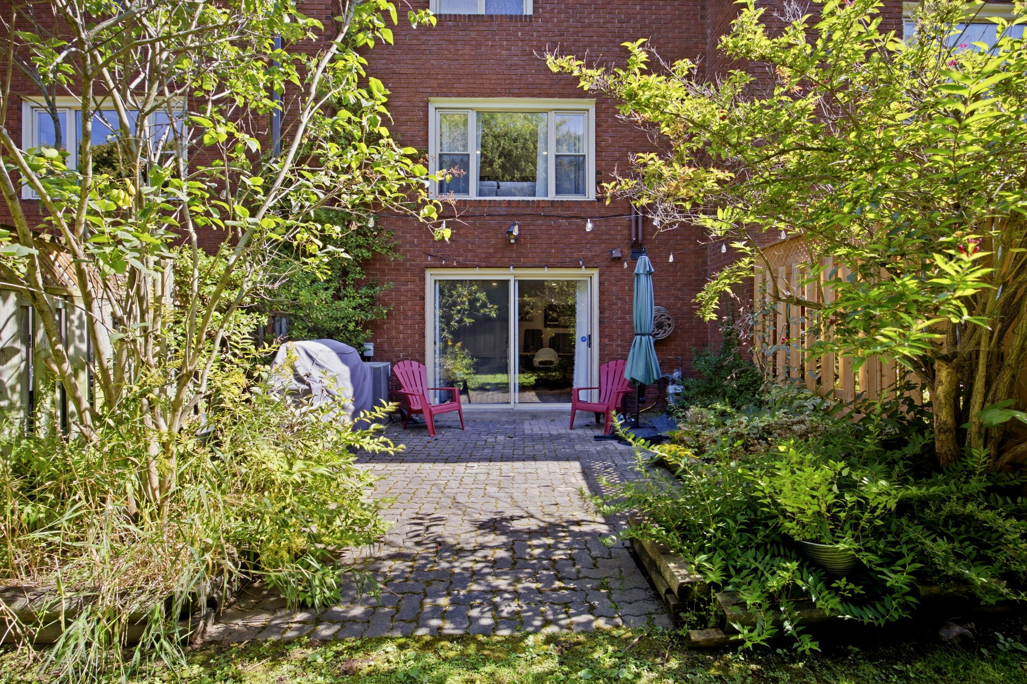  Photo 46
