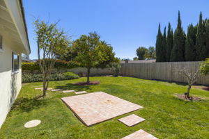  Photo 36