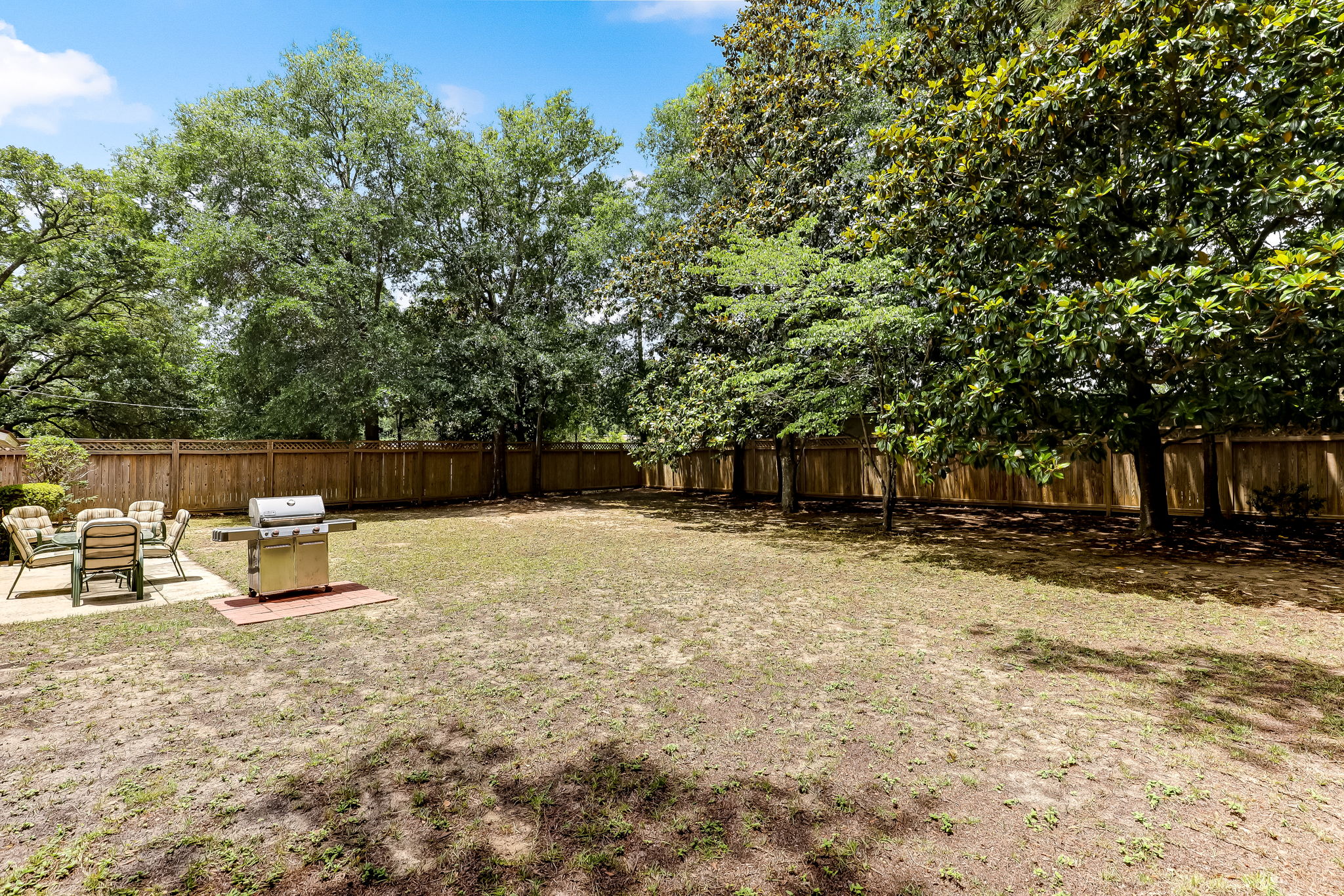 Back Yard