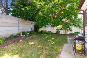  Photo 49