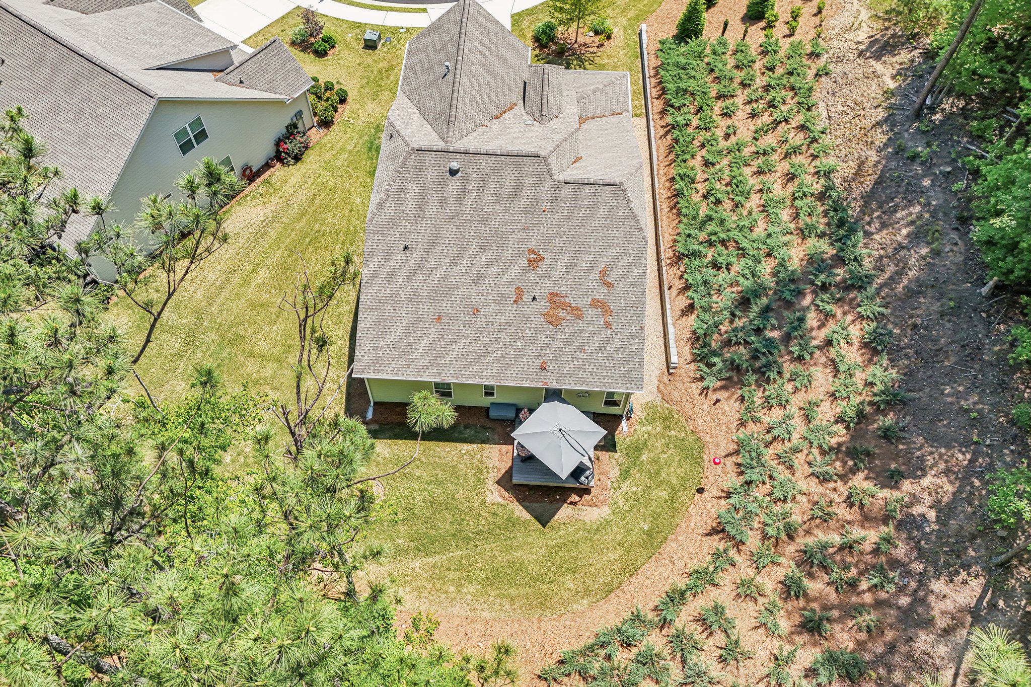 Alderberry Ct-S1905-064.jpg