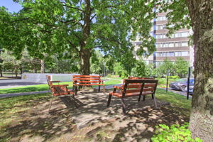  Photo 47