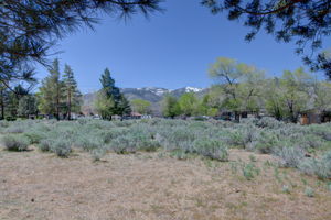  Photo 37