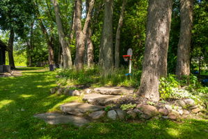  Photo 31