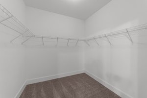  Photo 37
