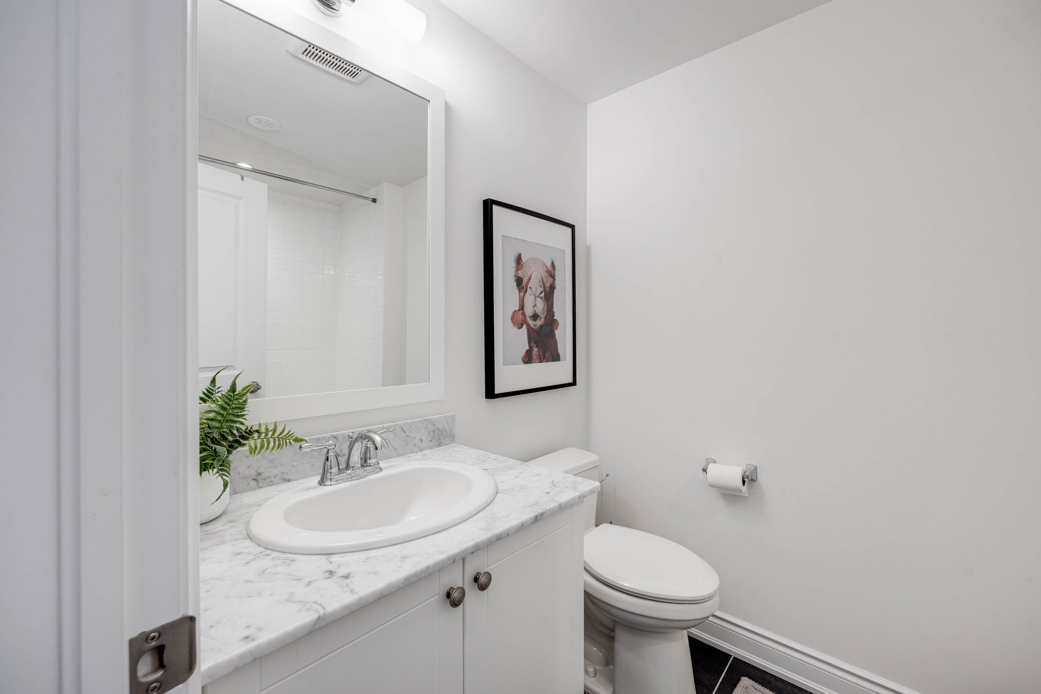 Toronto property showcase — delivered property photograph 24