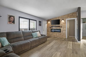 Eletric Fireplace