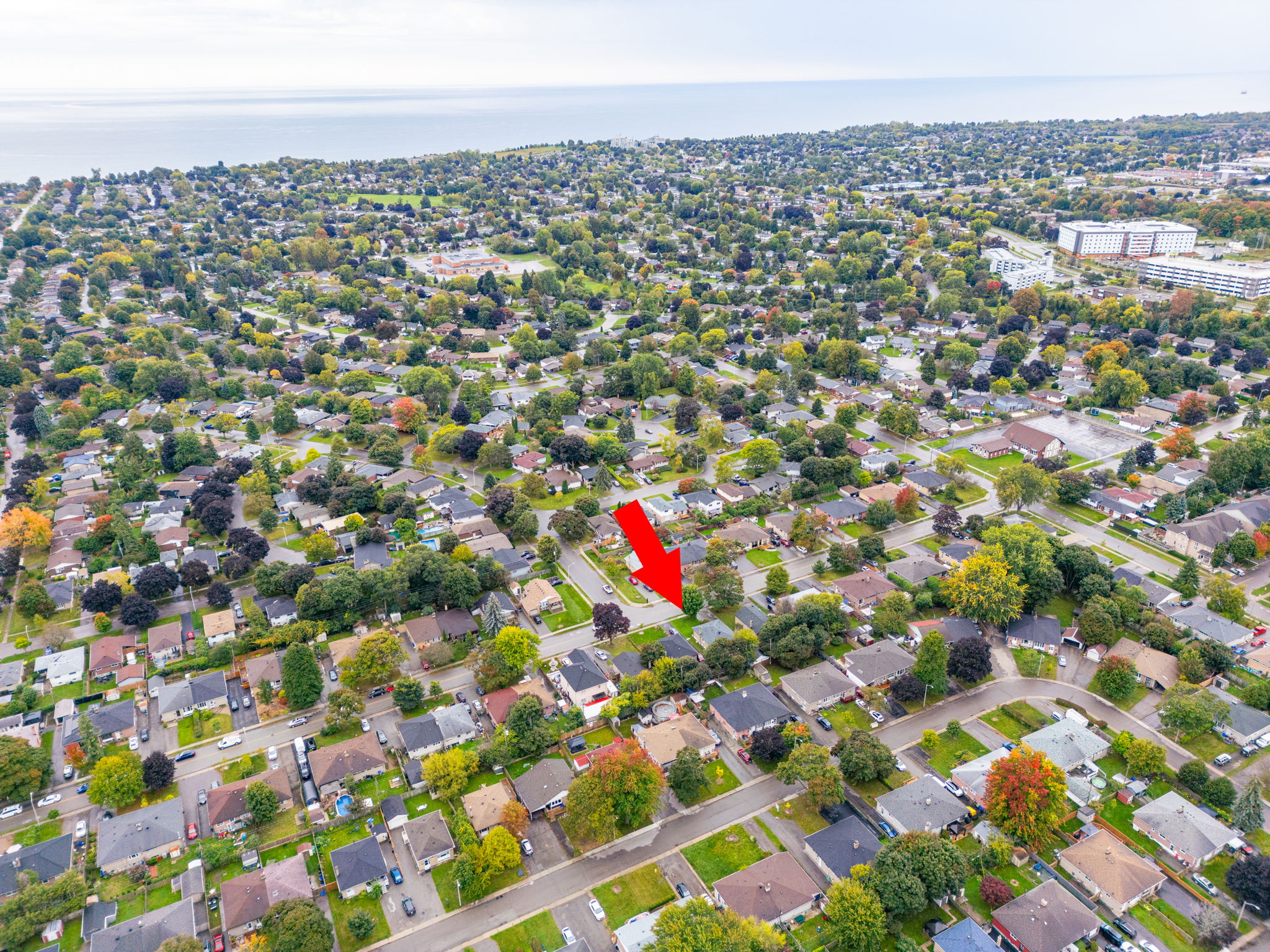 Ajax property showcase — delivered property photograph 53