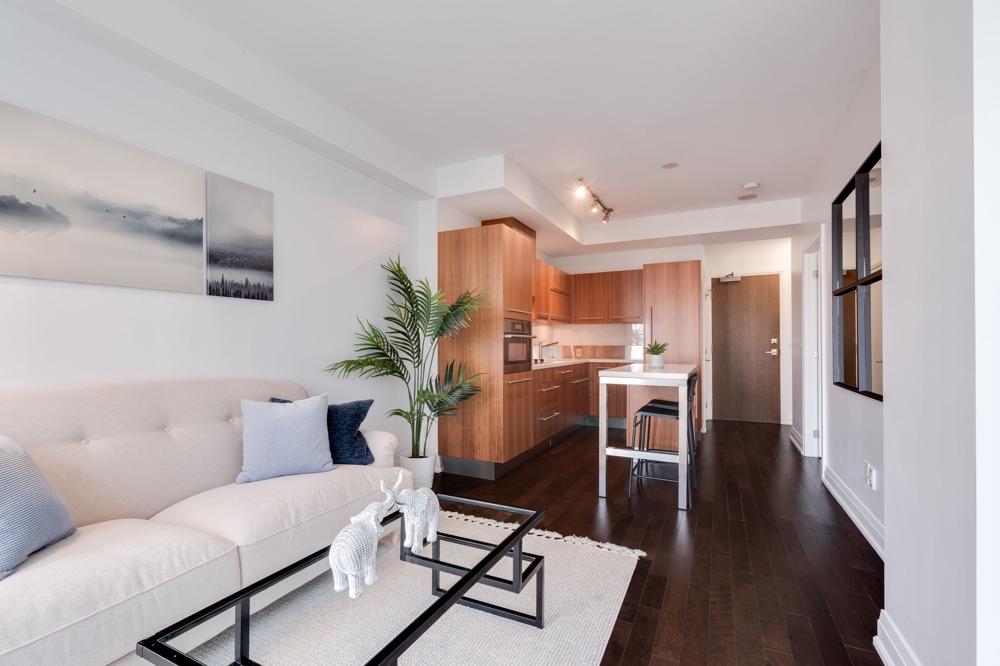 Toronto property showcase — delivered property photograph 14